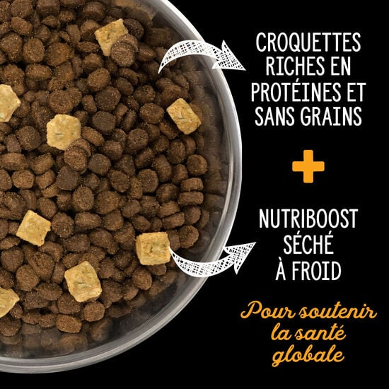 nutrience subzero poulet & dinde désossée nutrience subzero poulet & dinde désossée